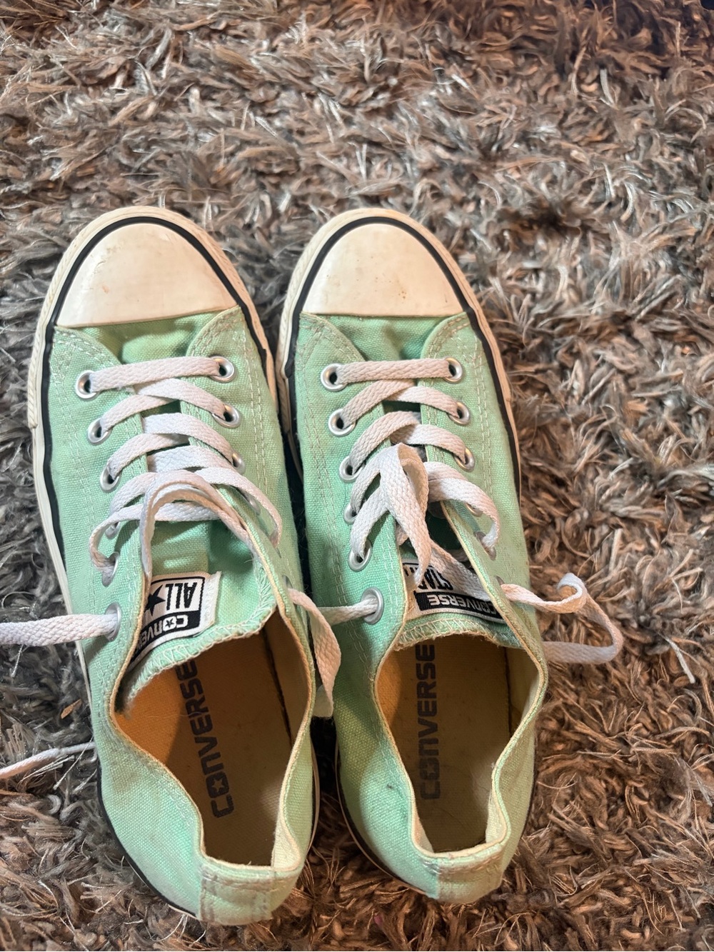 Converse Low Top Sneakers in Mint Green and White